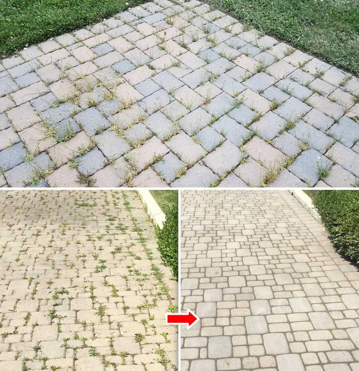 How to Eliminate Weeds Forever and Naturally