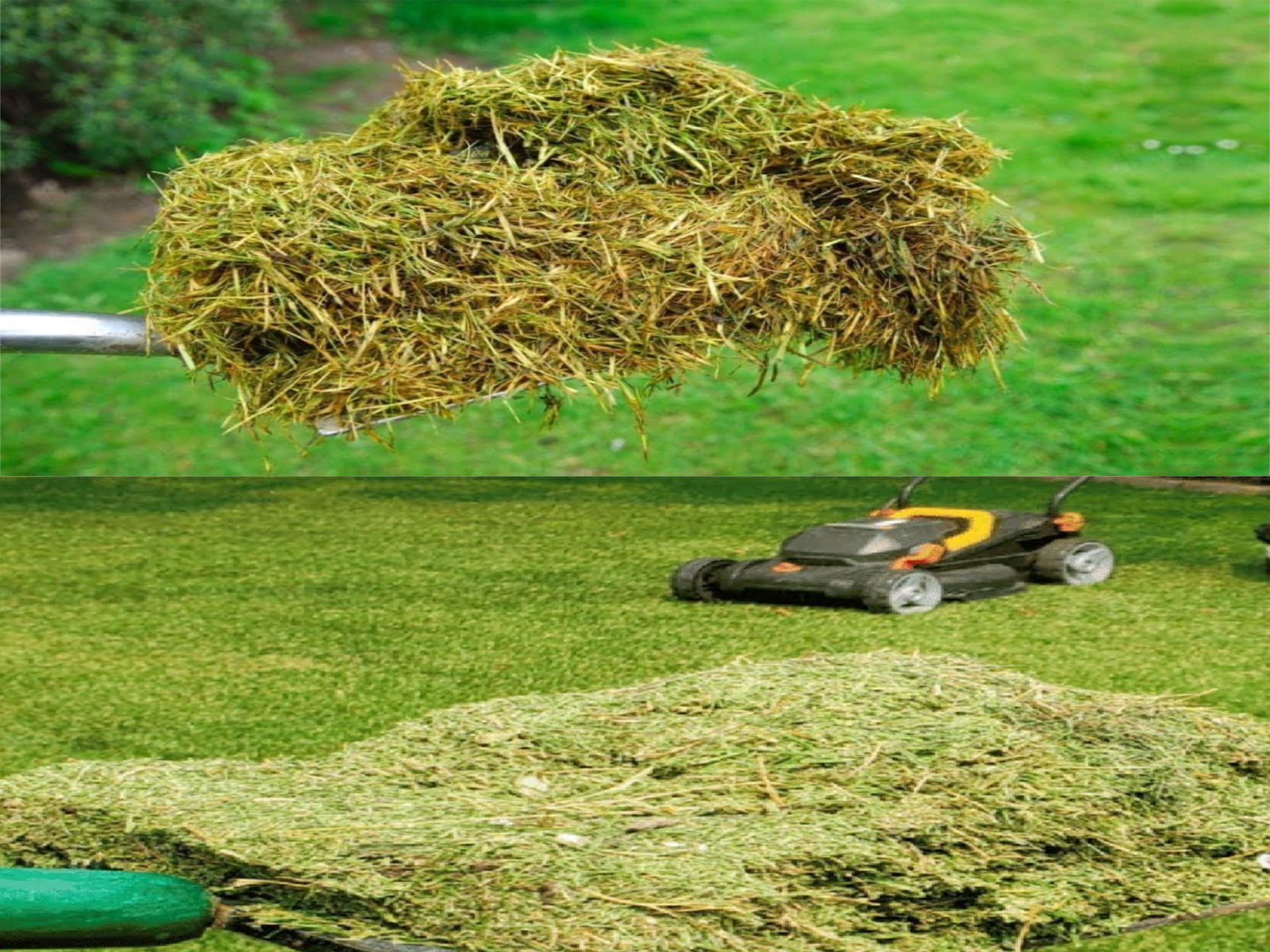 5 simple and useful ways to smart reuse cut grass