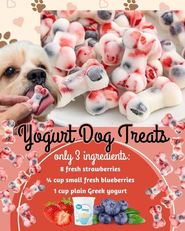 Yogurt Dog Treats