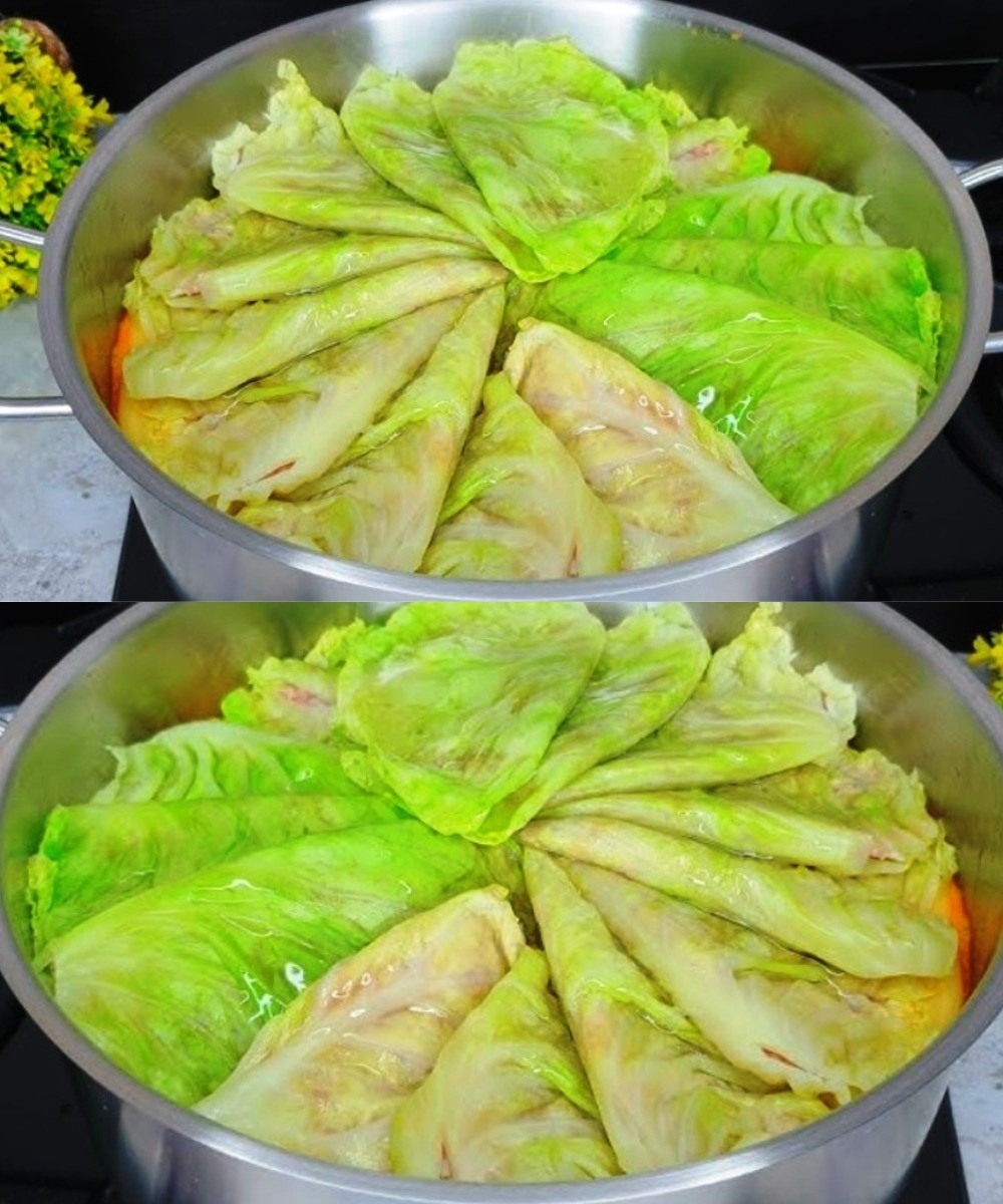 Delicious Cabbage Rolls Recipe