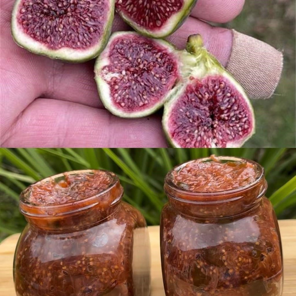Simple and Delicious Homemade Fig Jamyou’re looking for a delightful way to enjoy the unique, sweet flavor of figs throughout the year, making your own fig jam is an excellent choice. This simple homemade fig jam recipe brings out the natural sweetness of figs, making it a perfect spread for morning toasts, a cheese accompaniment, or a special addition to desserts. Here’s how you can make fig jam at home with just a few ingredients and steps.  Ingredients Needed 2 pounds of fresh figs Juice of 1 lemon 1/2 cup of water Optional: A sprinkle of cinnamon or vanilla extract for extra flavor Tools Required Large pot Spoon Knife and cutting board Sterilized jars for storing Preparation Steps  Continued on the next page