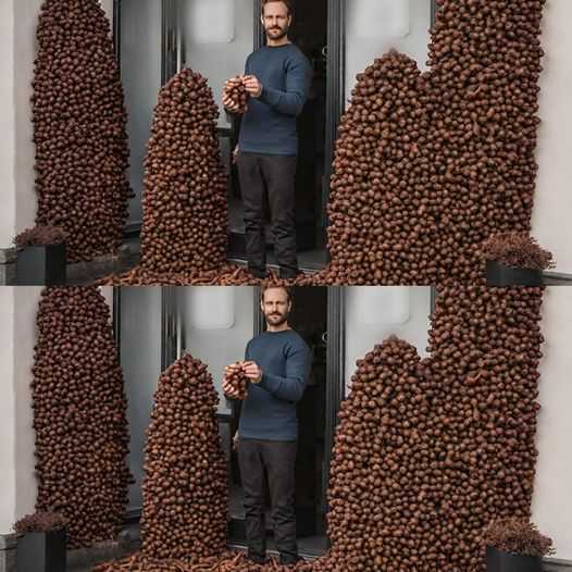 Unveil the Unexpected Perks of Placing Cloves Behind Your Door