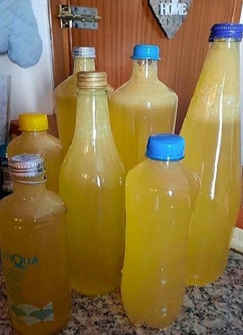 Ginger lemon water the healthiest drink for burning fat!