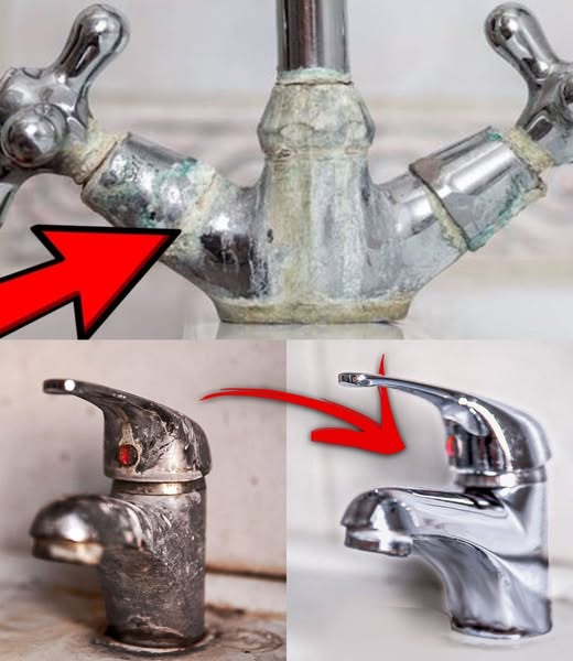 How to Quickly Remove Tartar from the Bathroom Without Vinegar: Natural and Effective Methods