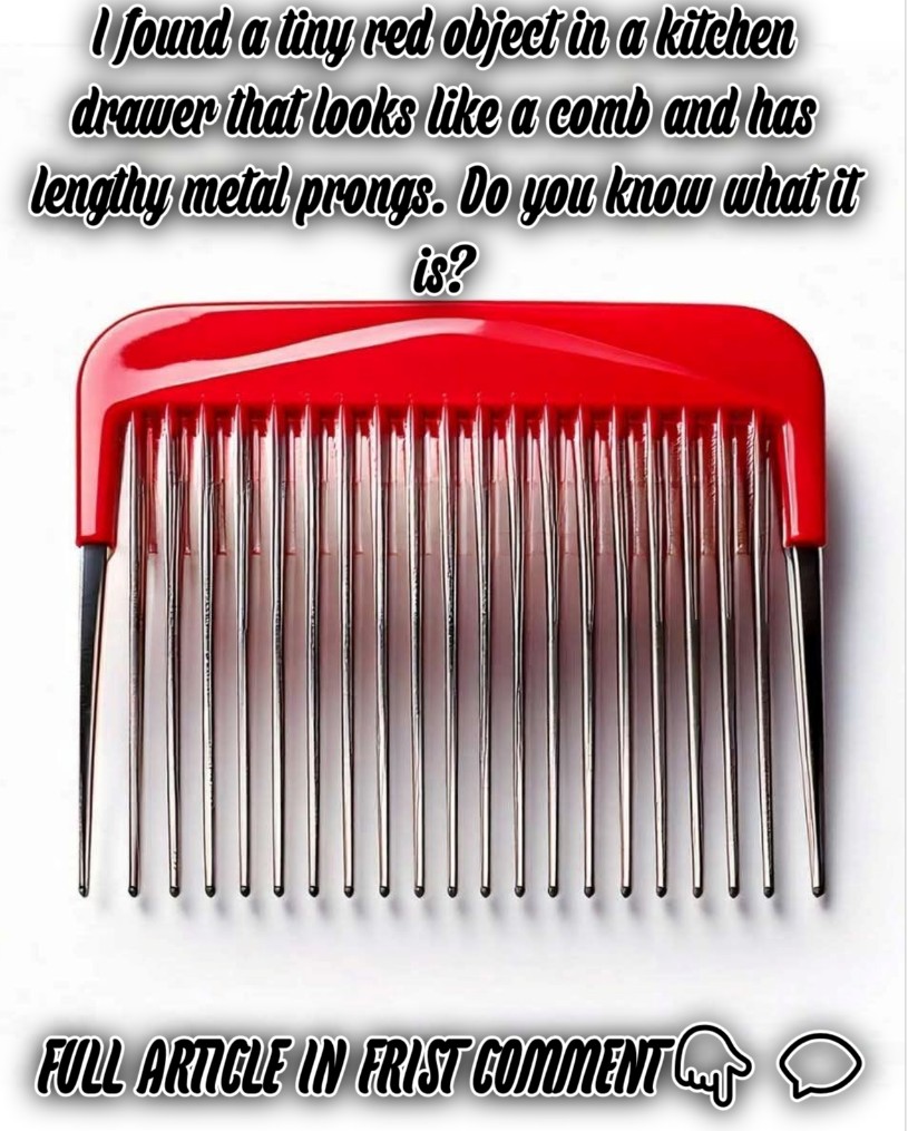 I found a tiny red object in a kitchen drawer that looks like a comb and has lengthy metal prongs. Do you know what it is?
