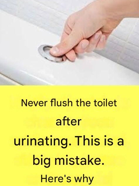 Why Is It Extremely Important Not to Flush the Toilet After Every Urination