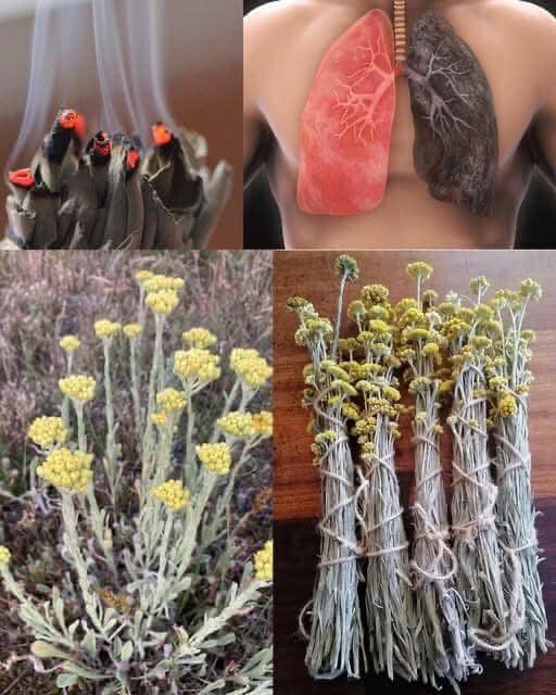 The benefits of the paper flower that you didn’t know about