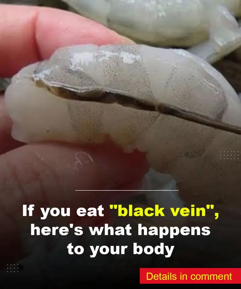 What happens if you eat the black vein in a shrimp’s tail?