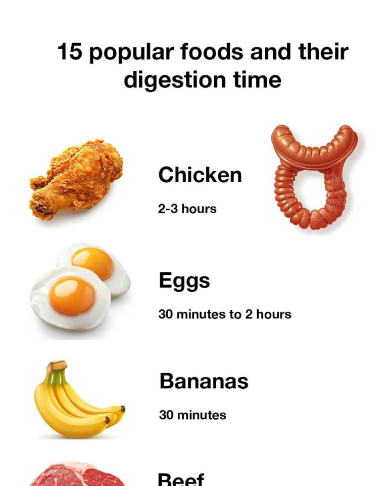15 popular foods and their digestion time
