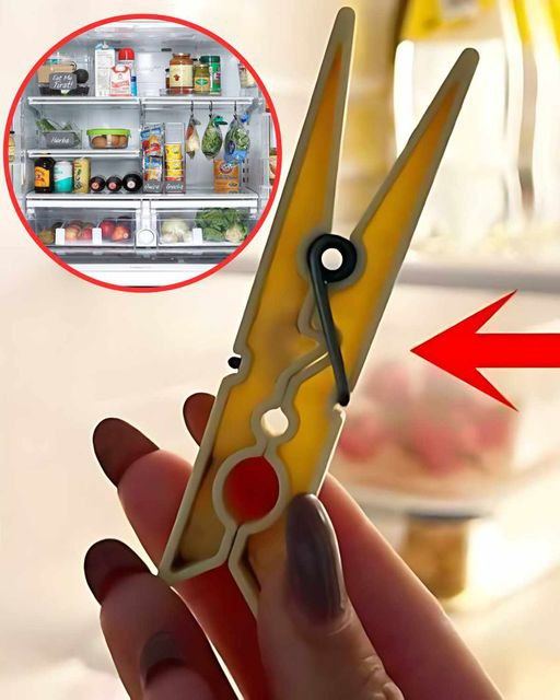 “Put A Clothespin In The Refrigerator: It Could Solve This Annoying Problem For You”