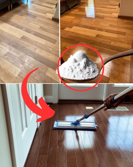 Shiny floors without chemicals: Discover the cleaning companies’ secret!