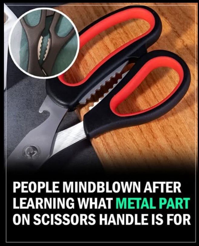 People left mindblown after discovering what metal part between handle of scissors is for