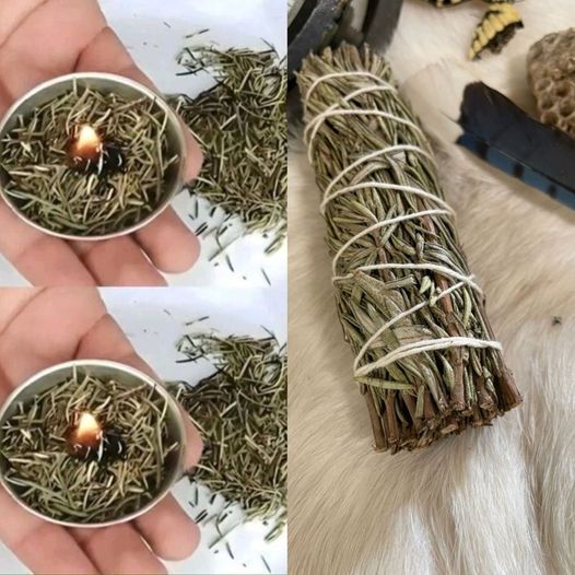 Discover the Incredible Benefits of Burning Rosemary